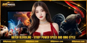 Hatch Bloodline - Study Power Speed And Ring Style