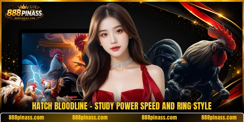 Hatch Bloodline - Study Power Speed And Ring Style