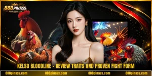 Kelso Bloodline - Review Traits And Proven Fight Form